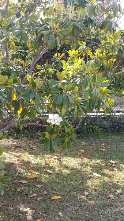 Gartenanlage Sunrise Resort Hotel