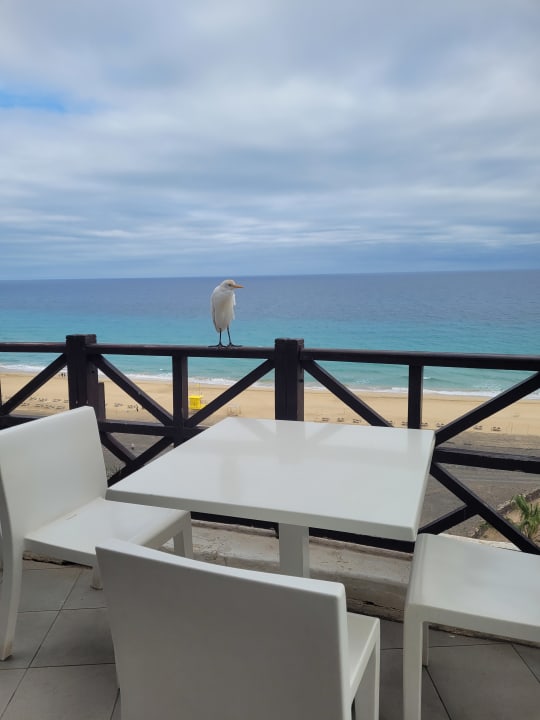 Gastro Club Jandia Princess