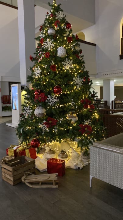 Lobby Occidental Jandía Royal Level - Adults only