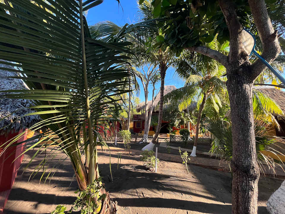 Gartenanlage Hotel Pez de Oro