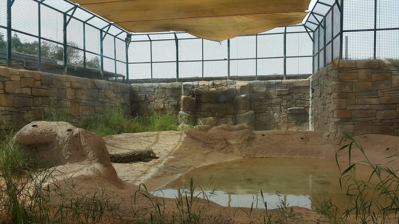 Zoo Hotel Emirates Park Resort