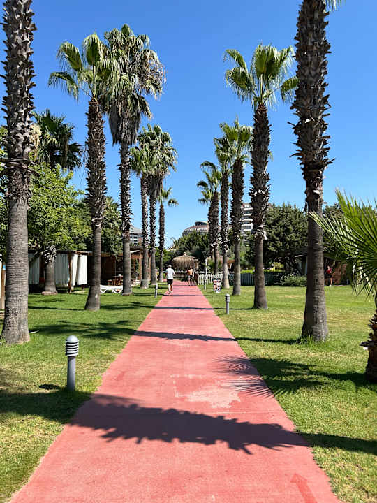 Gartenanlage Saturn Palace Resort Hotel