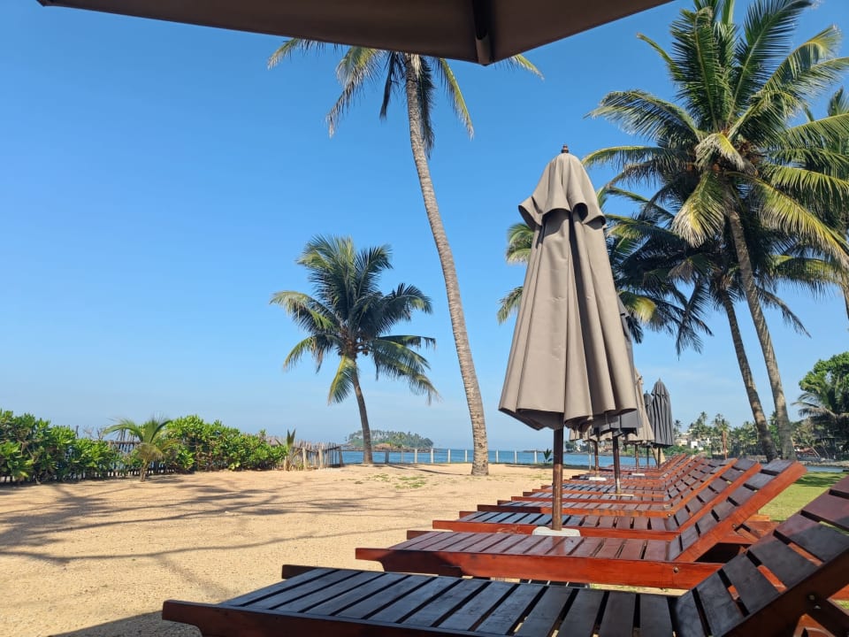 Sonstiges Earl’s Reef Beruwala