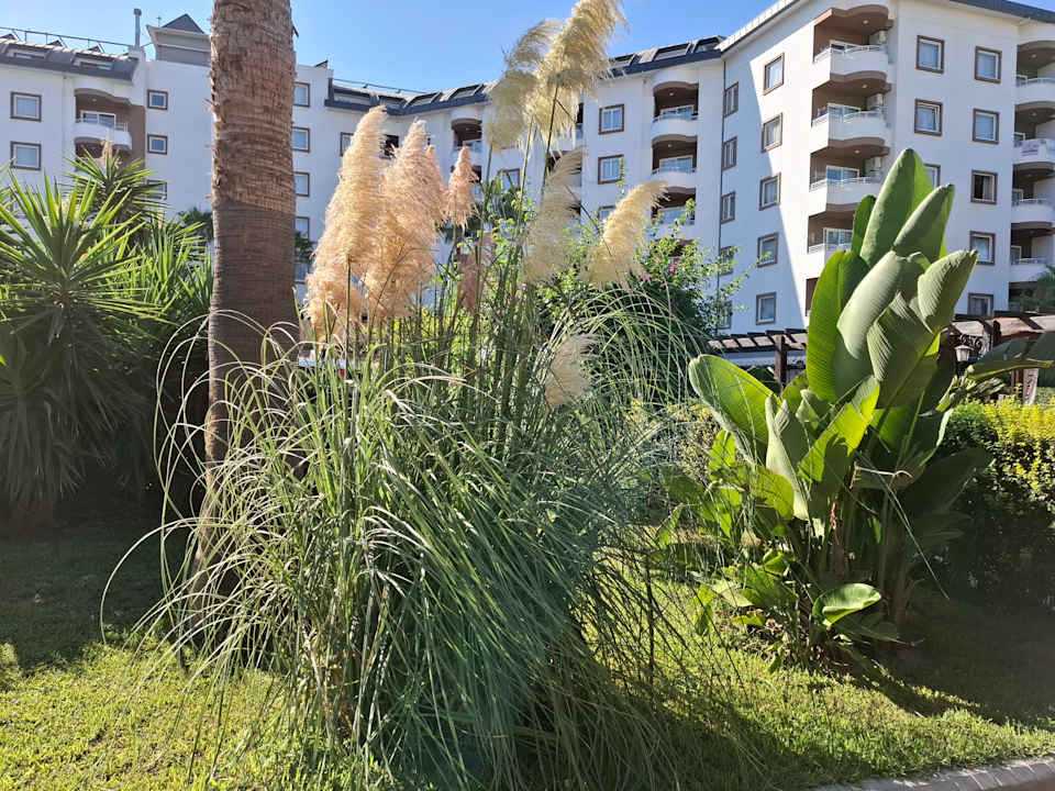 Gartenanlage Hotel Royal Garden Beach