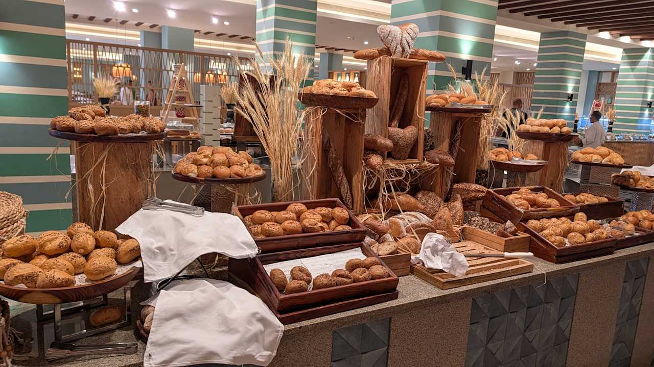 Gastro JAZ Elite Asteria