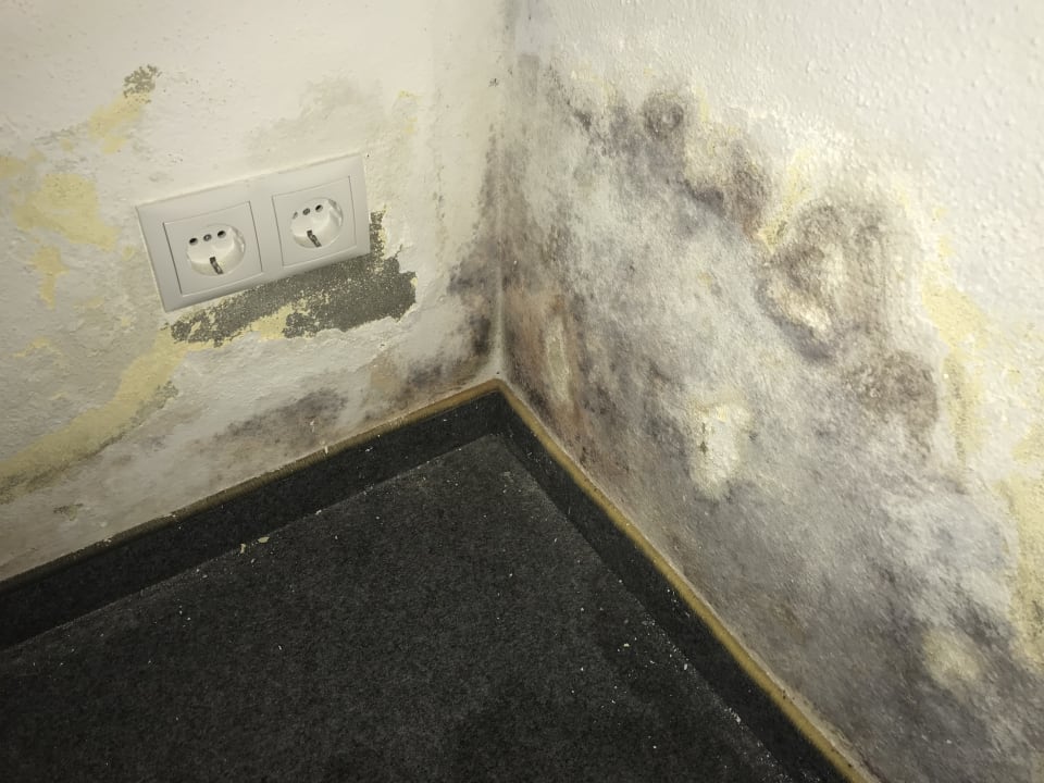 Zimmer Apartments Alpstein