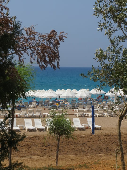 Blick zum Strand Sultan of Dreams Hotel & Spa