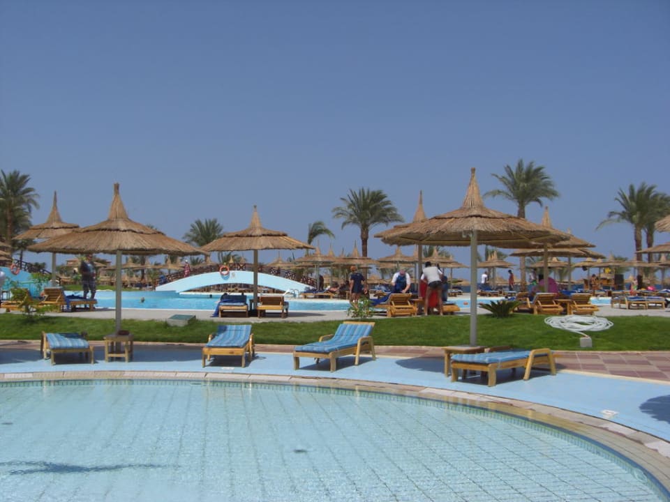 Hauptpool Beach Albatros Resort