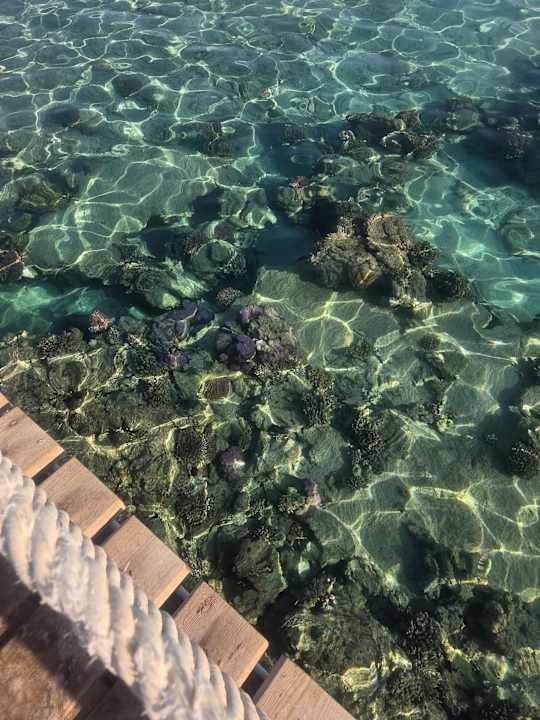 Strand TUI BLUE Samaya