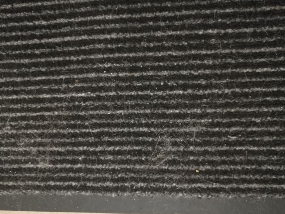 Zimmer Elbstrand Resort