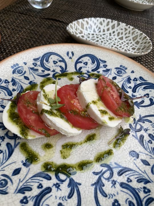 Gastro Acanthus Cennet Barut Collection