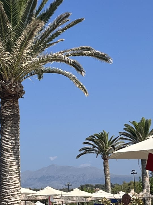 Gartenanlage Anissa Beach & Village