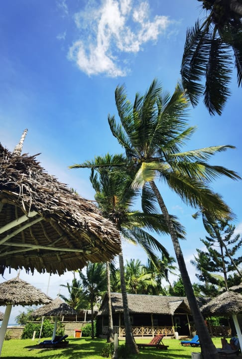 Gartenanlage Neptune Palm Beach Boutique Resort & Spa
