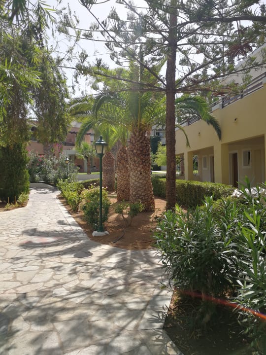 Gartenanlage Iberostar Selection Creta Marine