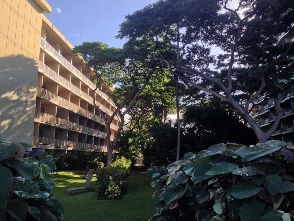 Flügel seitlicher Meerblick-ist aber kaum zu sehen Kaanapali Beach Hotel