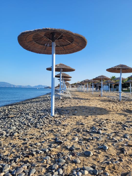 Strand TUI BLUE Oceanis Beach and Spa Resort