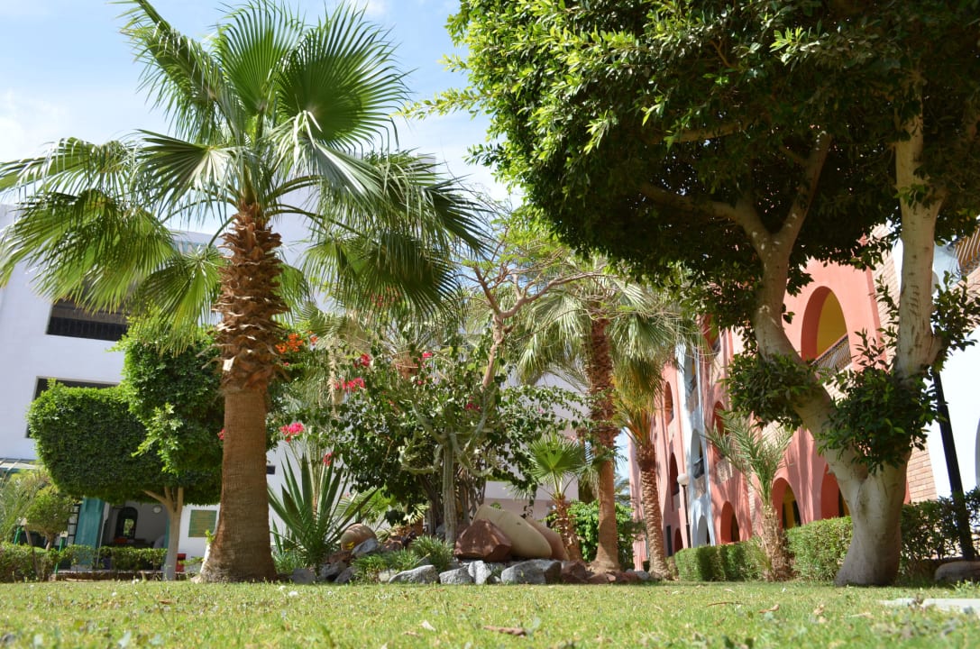 Sehr gepflegt Arabia Azur Resort