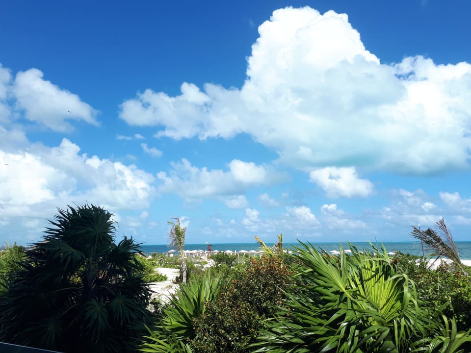 Ausblick TRS Coral Hotel - Adults Only