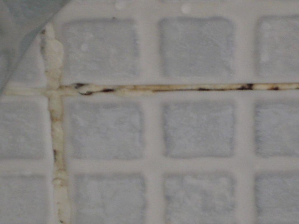 Bad Albatros Sharm Resort