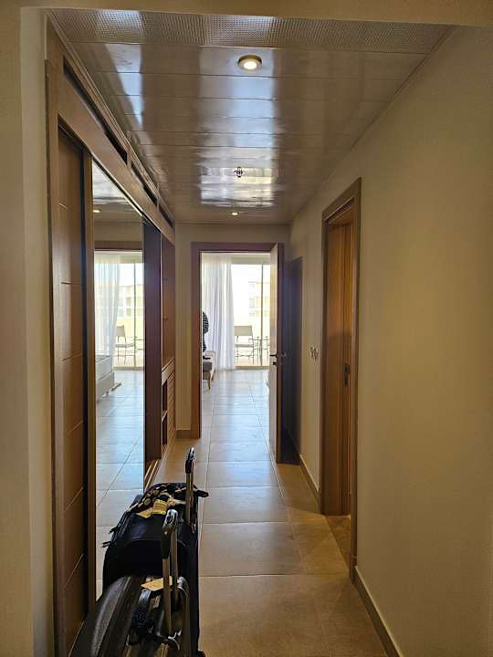 Zimmer JAZ Elite Asteria