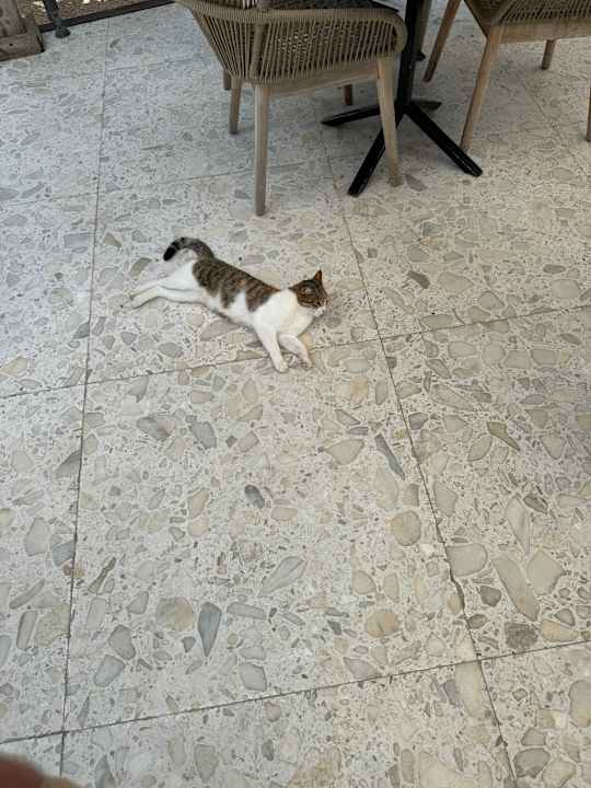 Sonstiges Sugar Beach Mauritius