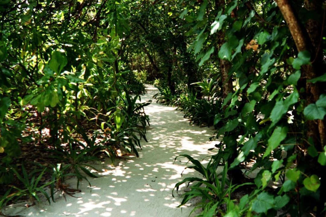Weg auf Reethi Reethi Beach Resort