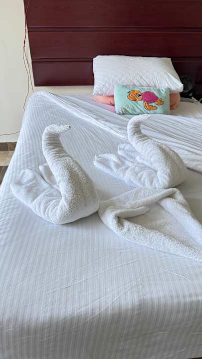 Zimmer Three Corners Equinox Beach Resort