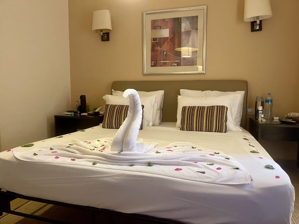 Zimmer JAZ Neo Saraya Palms