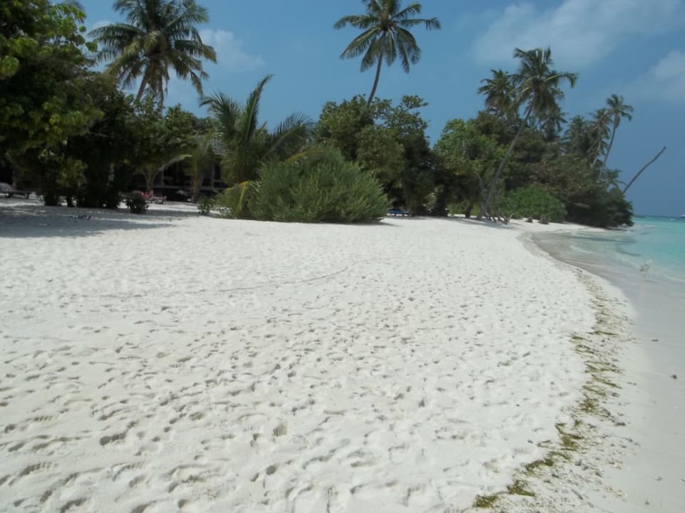 Strand Beach Villa  O - Resort Kuredu Island Resort & Spa