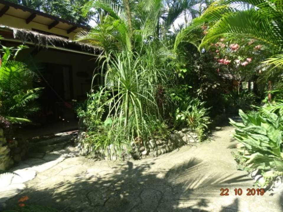 Gartenanlage Hotel Caribbean Coconut