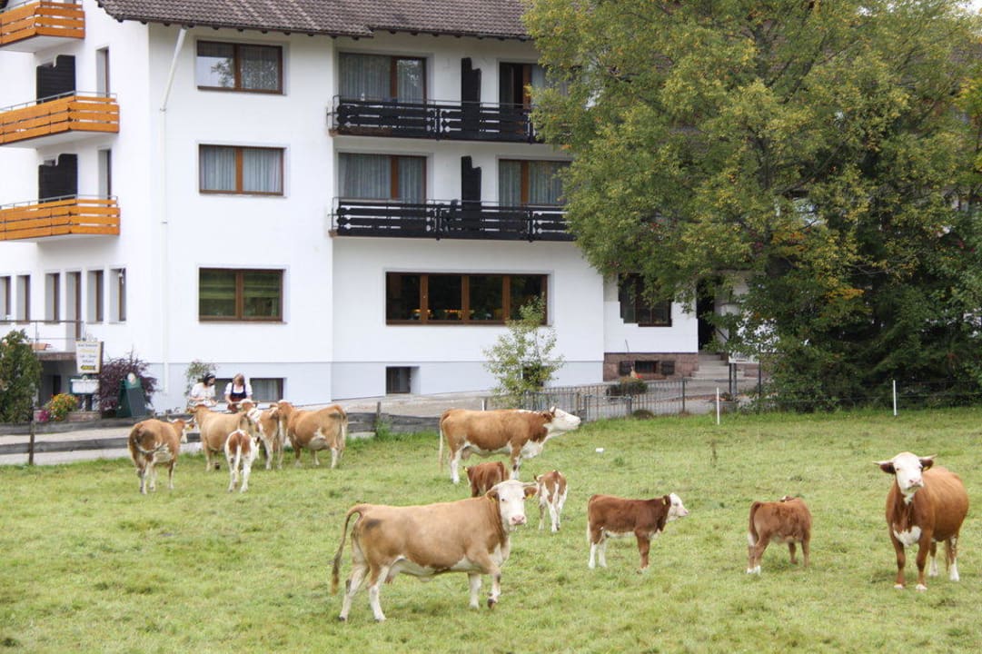 Natur erleben im Ödenhof Ferienhotel Ödenhof