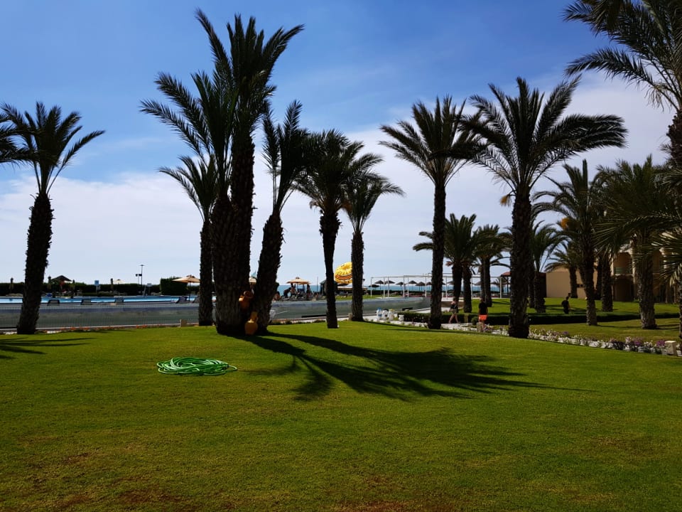 Gartenanlage Iberostar Waves Averroes