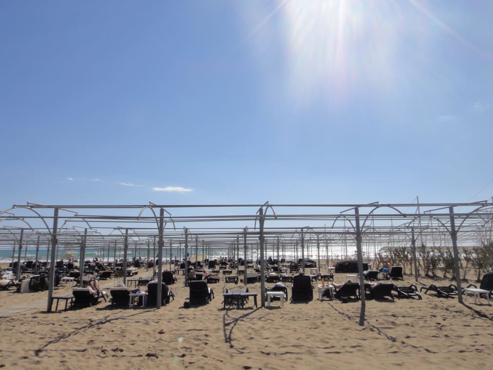 Liegen am Hotelstrand Aydinbey Kings Palace & Spa