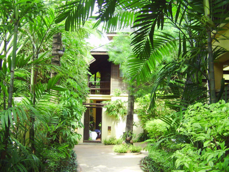 Grün, grün Buri Rasa Village Samui Adults Only Resort