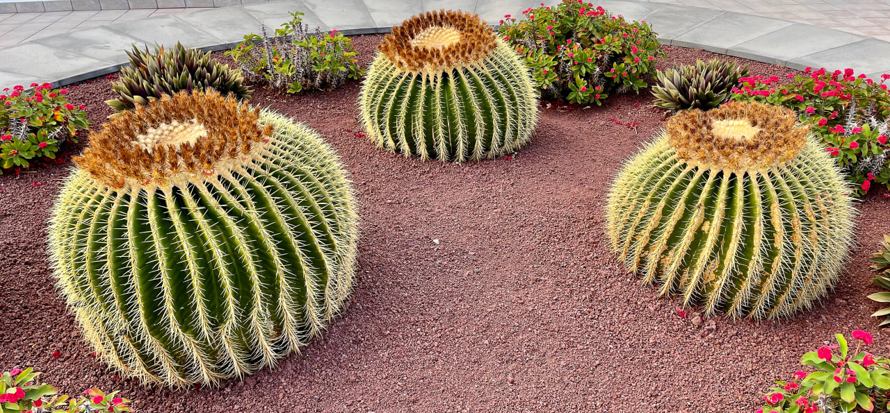 Gartenanlage Hotel Las Costas