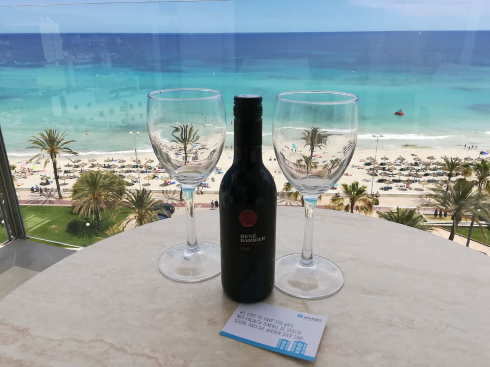 Gastro CM Playa del Moro