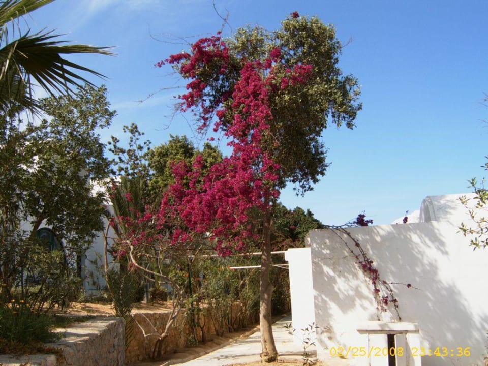 Auf dem Weg zu meinem Zimmer Hotel Sangho Club Zarzis