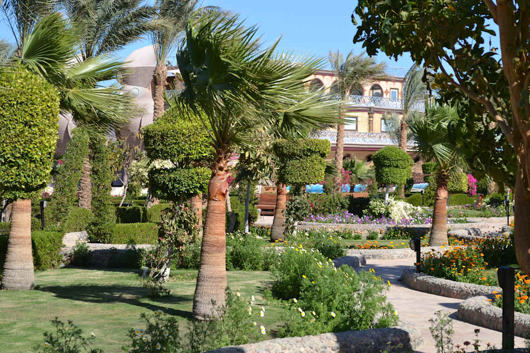 Сад с выходом к морю Riviera Aqua Park Resort