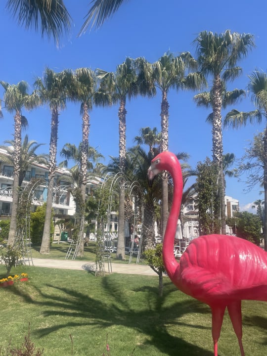 Gartenanlage Belek Beach Resort Hotel