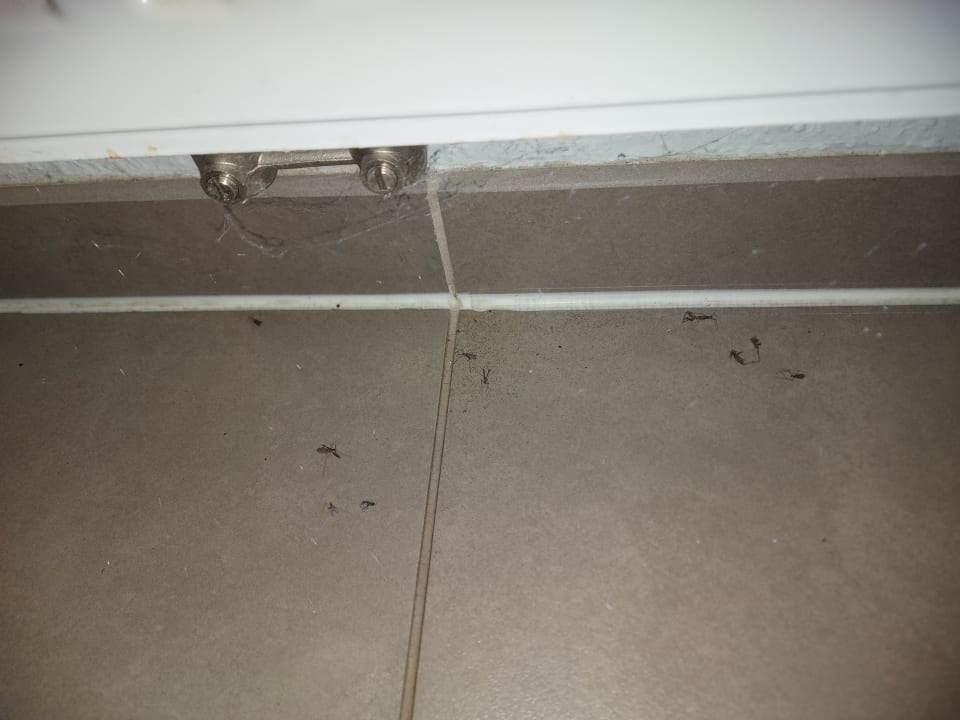 Zimmer Center Parcs Park Bostalsee