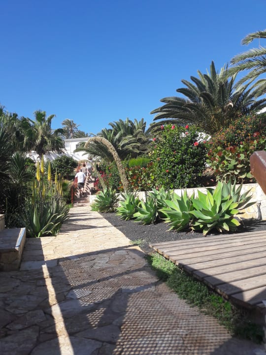 Gartenanlage Marina Playa Suite Hotel