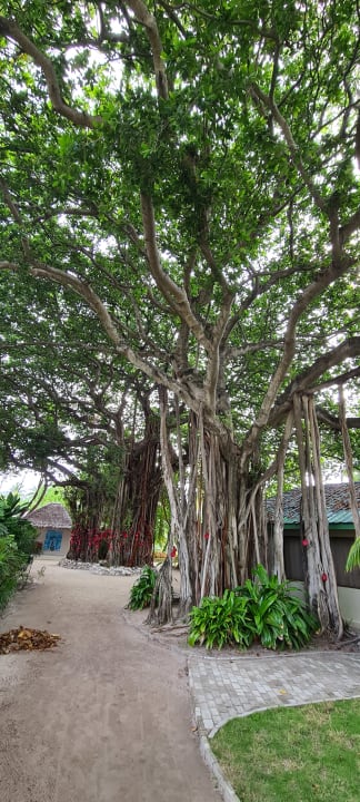 Gartenanlage Adaaran Select Hudhuran Fushi - Premium All Inclusive