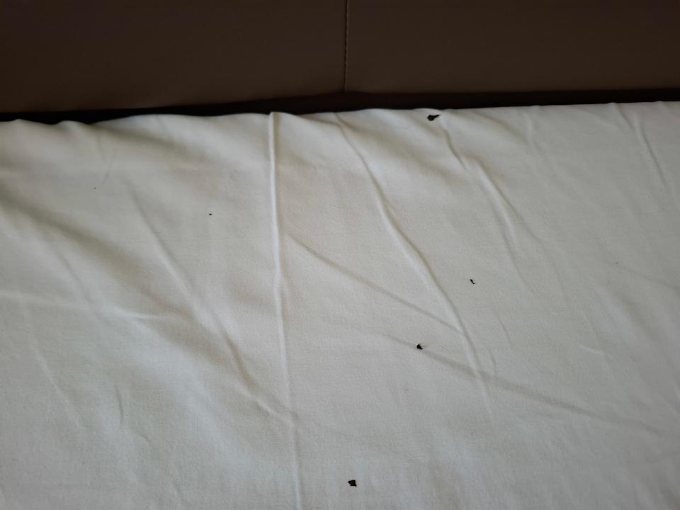 Zimmer AHORN Berghotel Friedrichroda