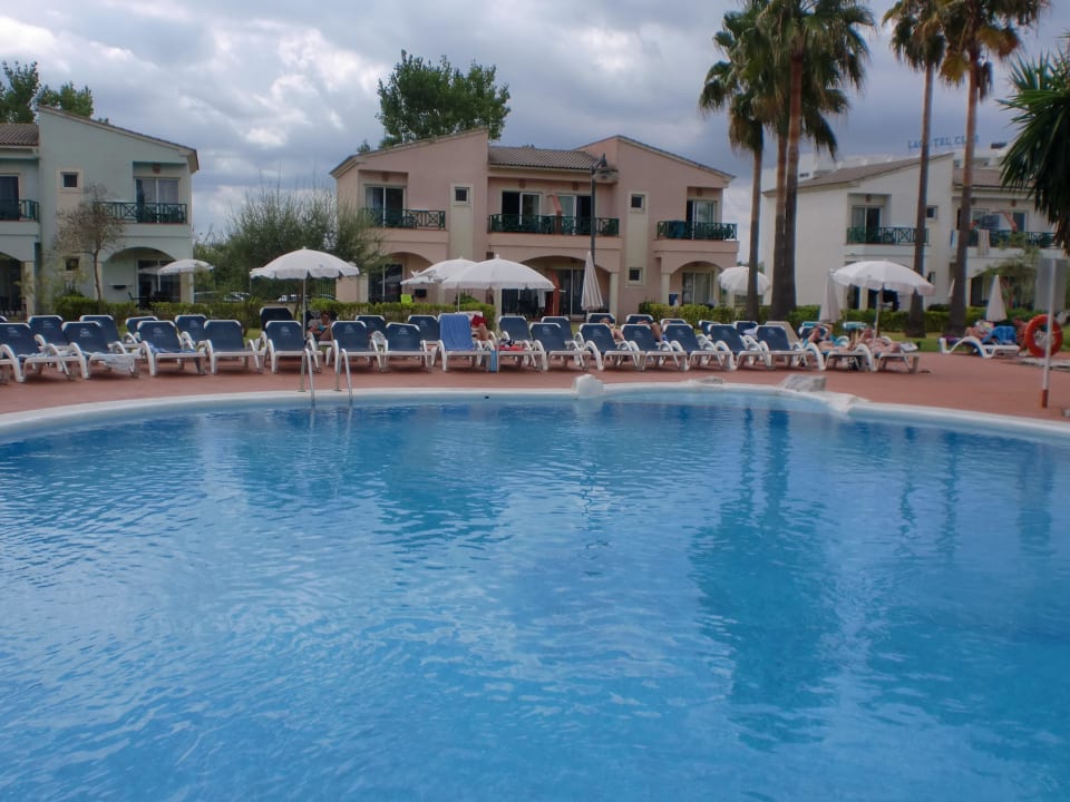 Pool mit den Liegen Garden Saladina