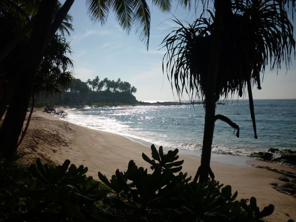 Paradies-Strand Palm Paradise Cabanas