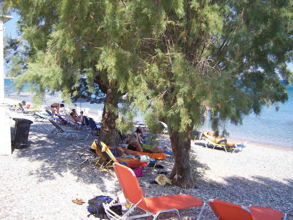 Liegen unter Bäumen Akrogiali Potokaki Samos