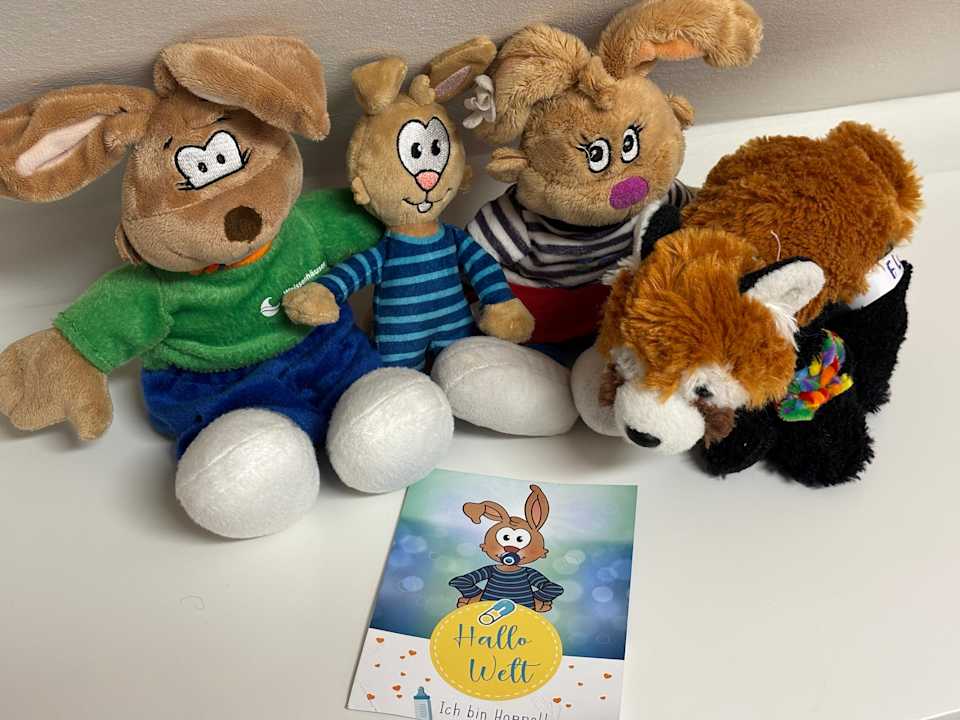 Sonstiges Ferienwohnungen Ferienpark Weissenhäuser Strand