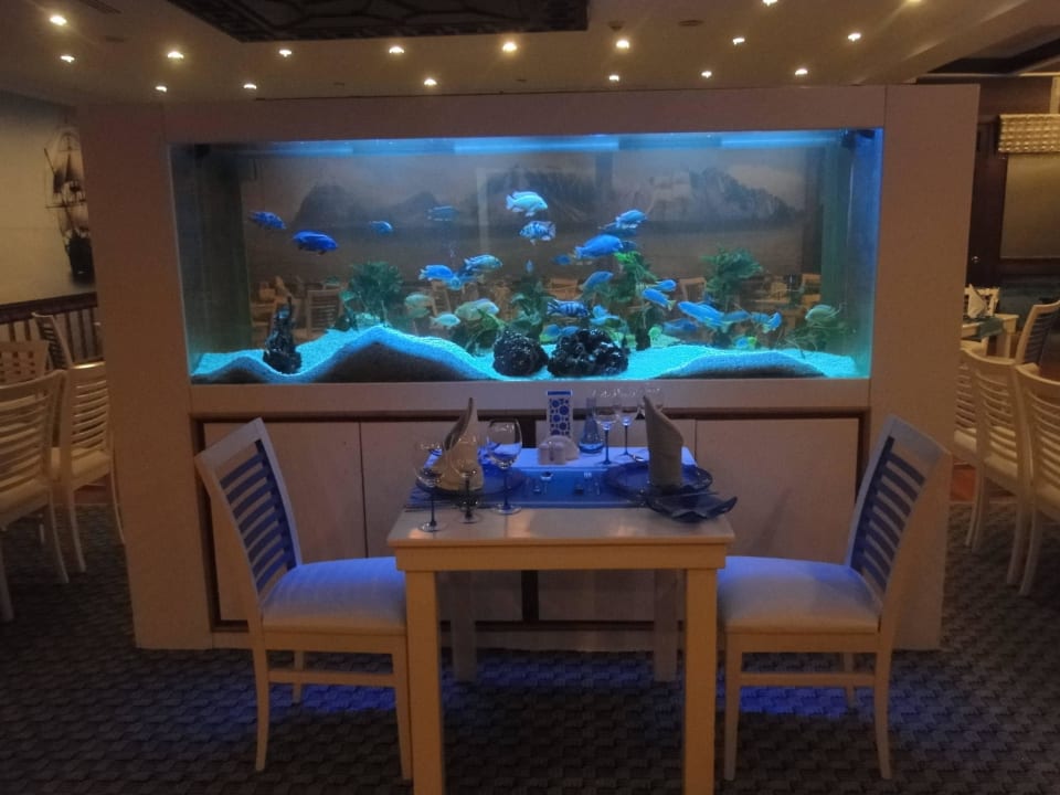 Restauracja morska Club Hotel Phaselis Rose