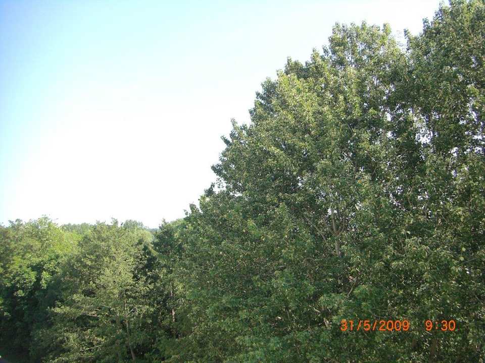 Blick aus dem Badfenster .. Elbotel Rostock by Centro