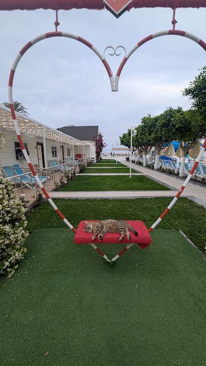 Gartenanlage Armas Beach